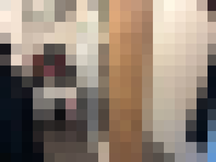  / #14