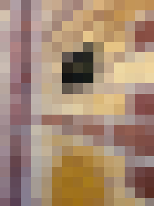  / #16