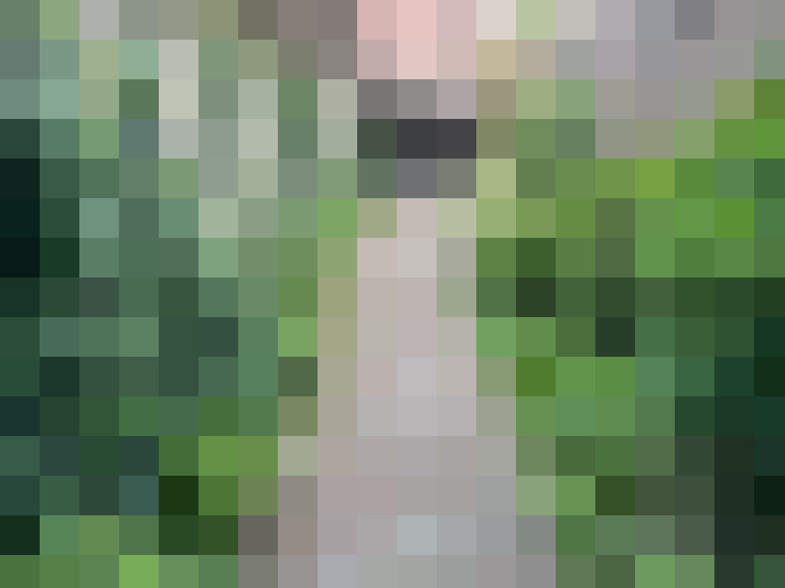  / #17