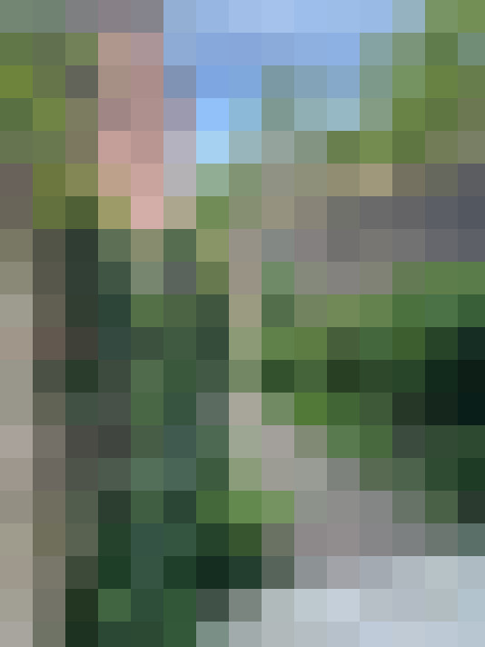  / #16