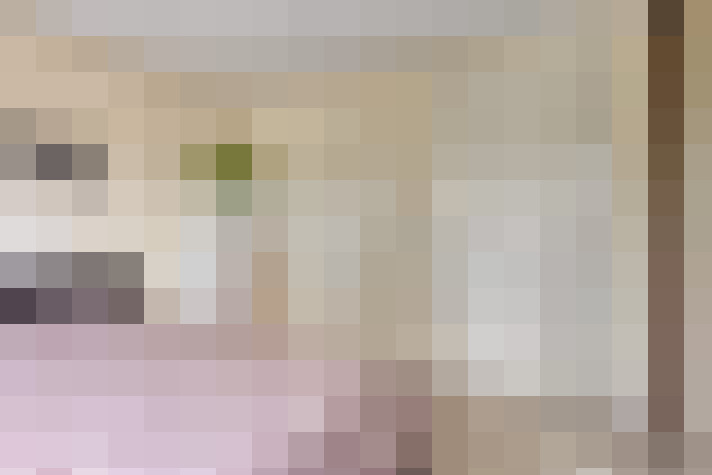  / #15