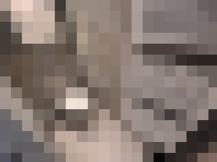  / #19