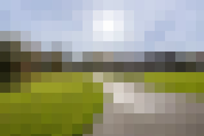  / #66