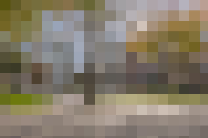  / #68