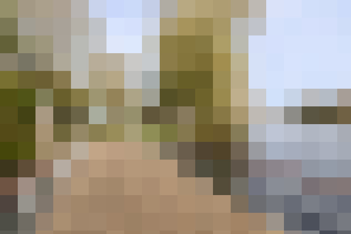  / #63