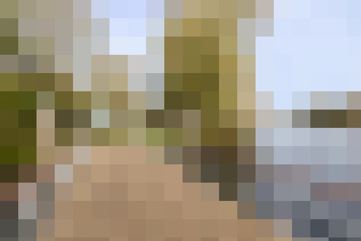  / #64
