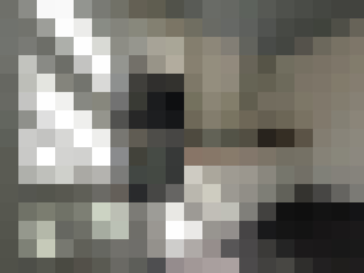  / #8
