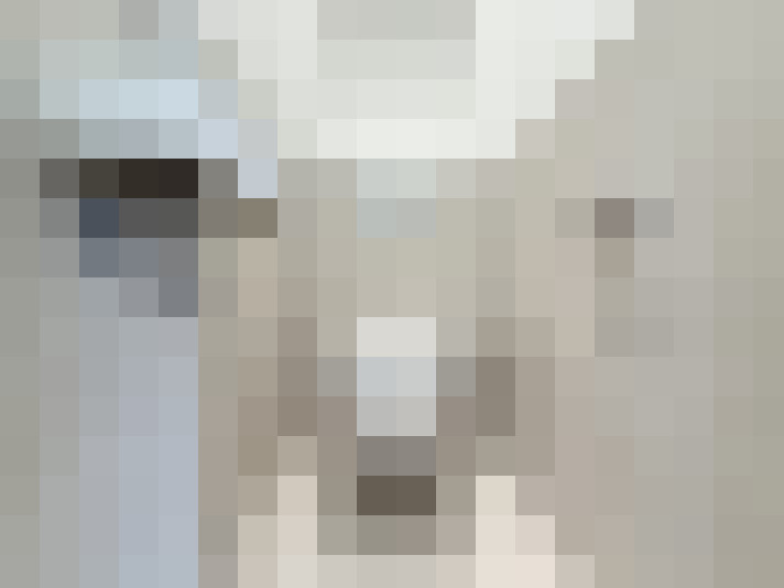  / #15
