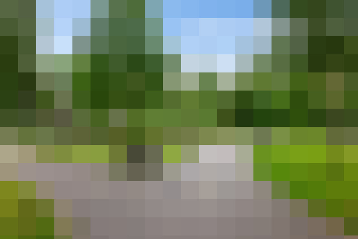  / #18