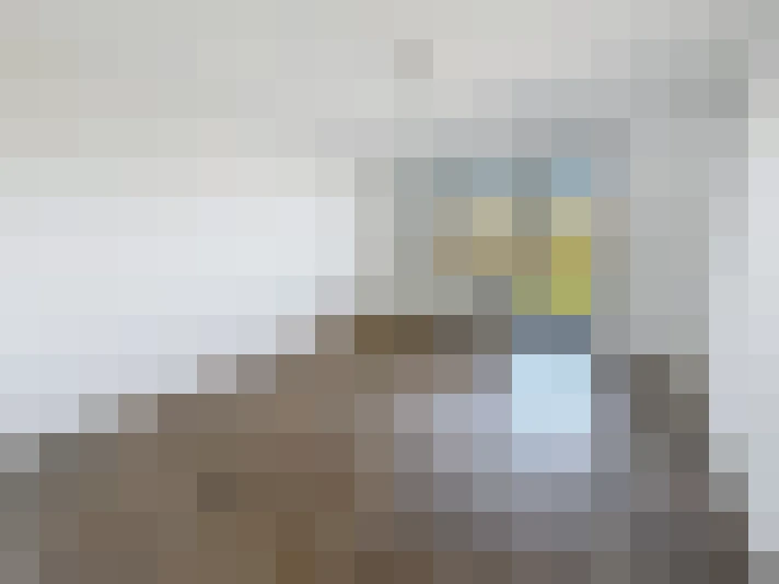  / #19
