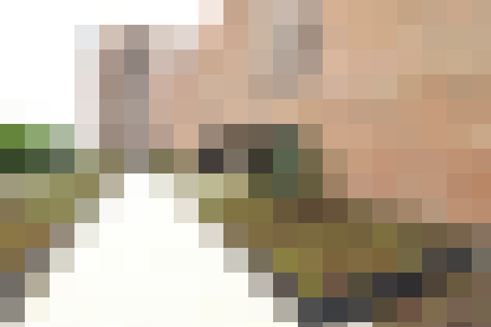  / #20