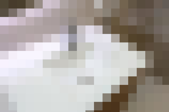  / #20