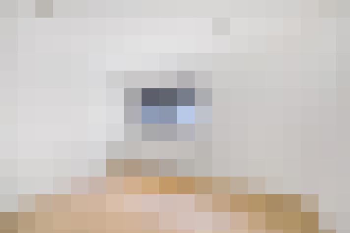  / #17