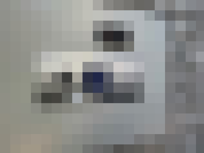  / #16