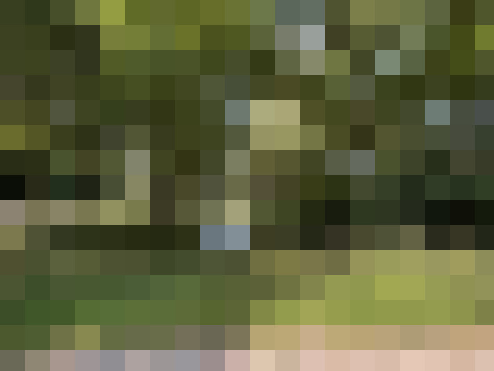  / #15