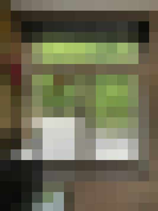  / #21