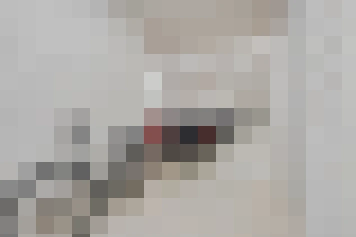  / #20