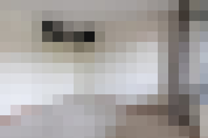  / #14