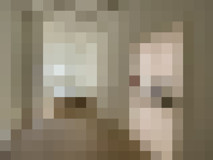  / #19