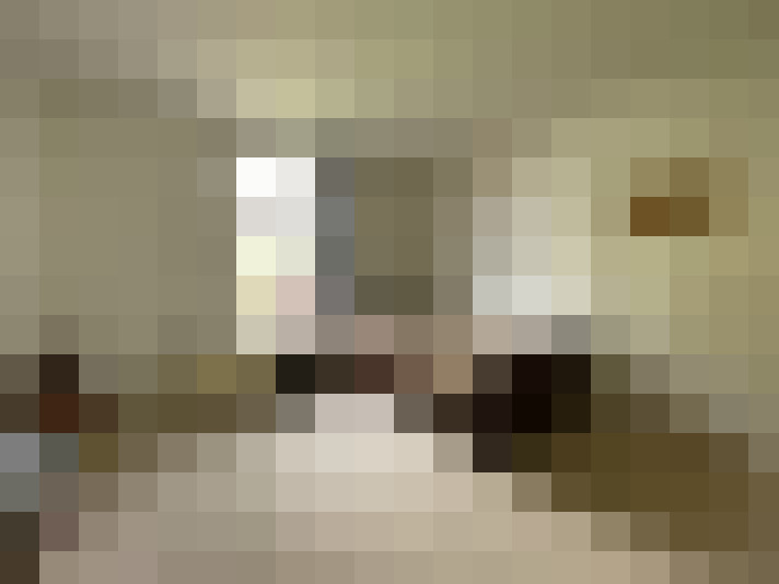  / #22