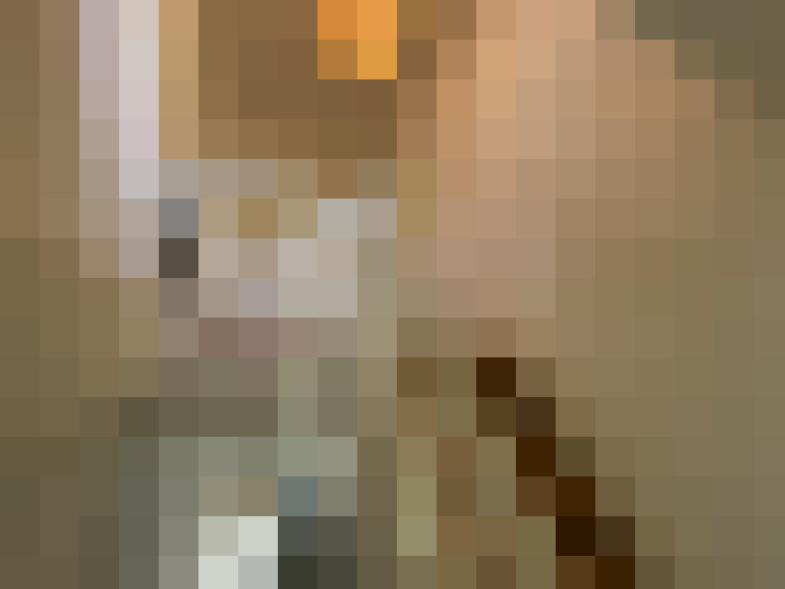  / #16