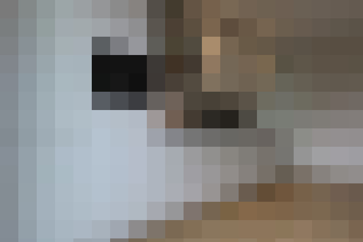  / #9