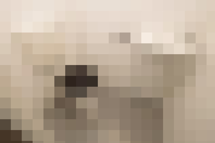  / #17