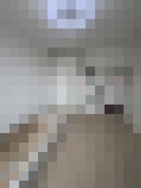  / #15