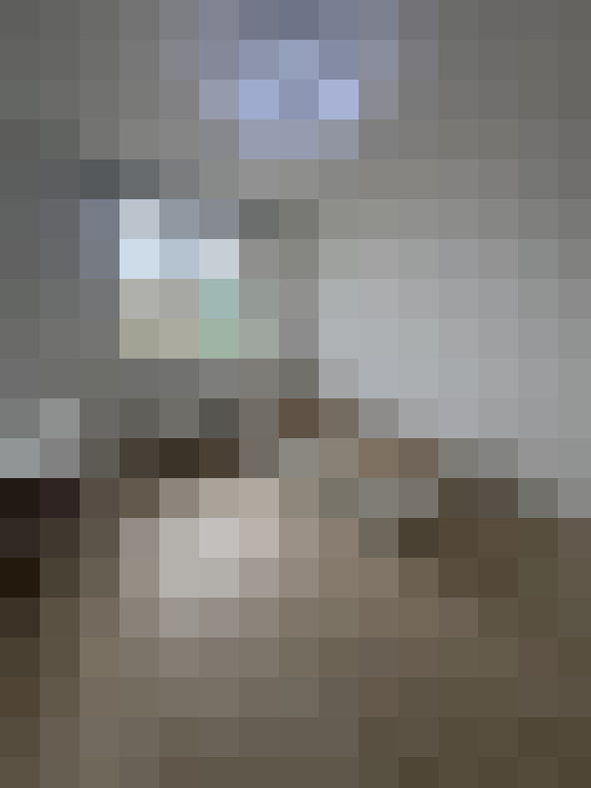  / #14