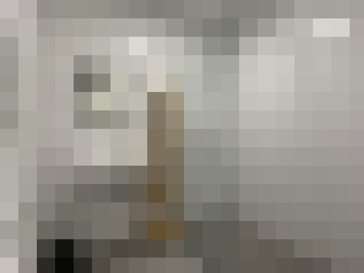  / #8