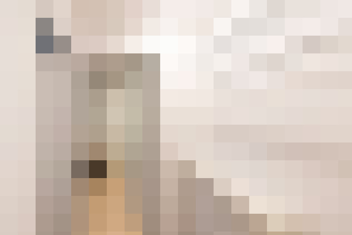  / #24