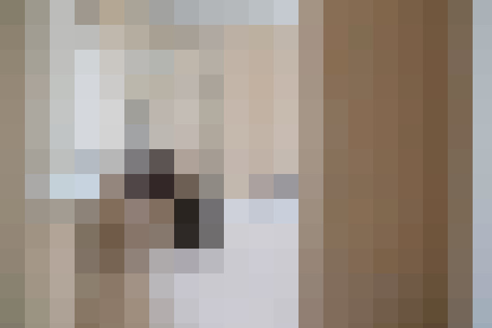  / #12