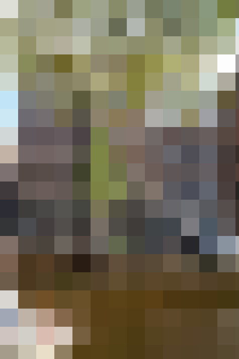  / #13