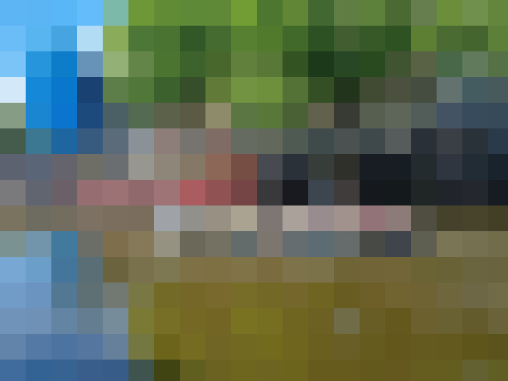  / #17