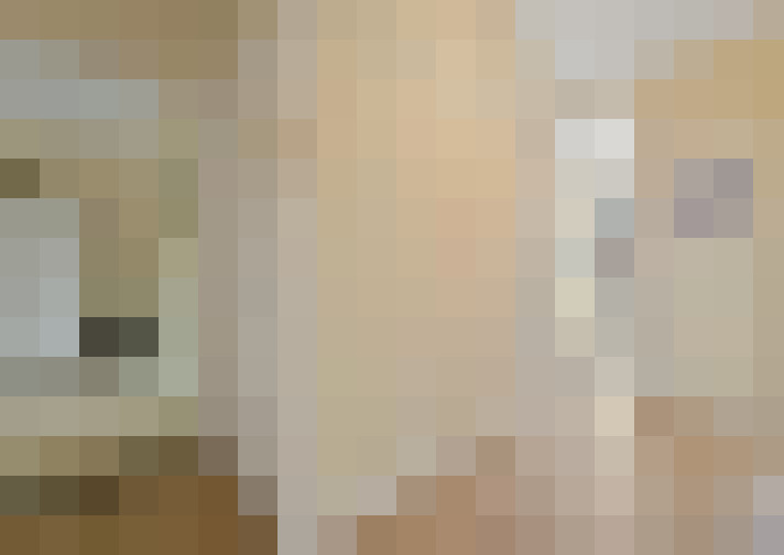  / #24
