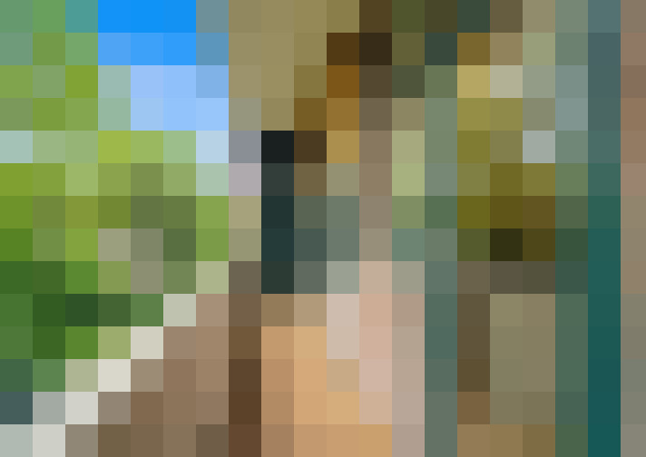  / #16