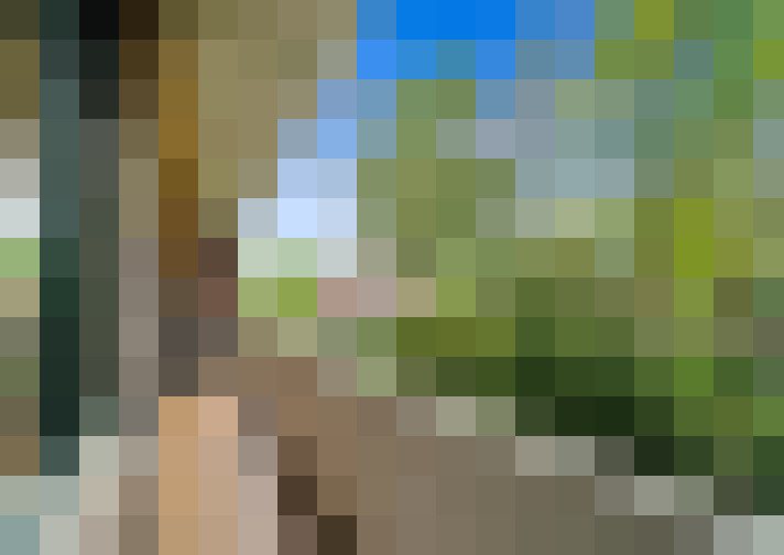  / #17