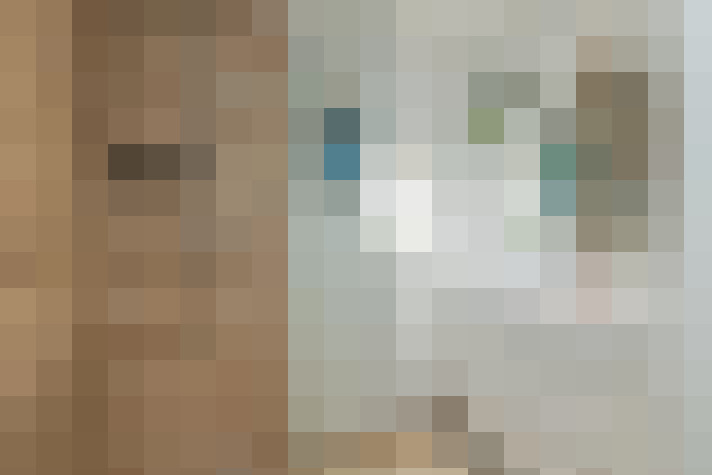  / #33