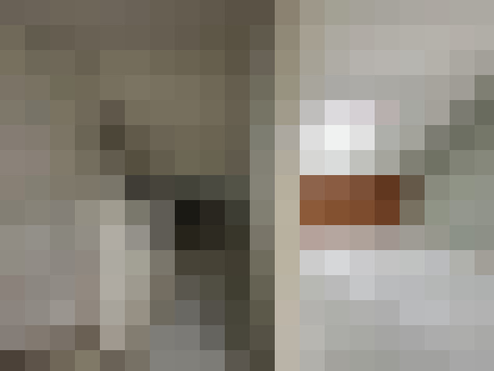  / #23