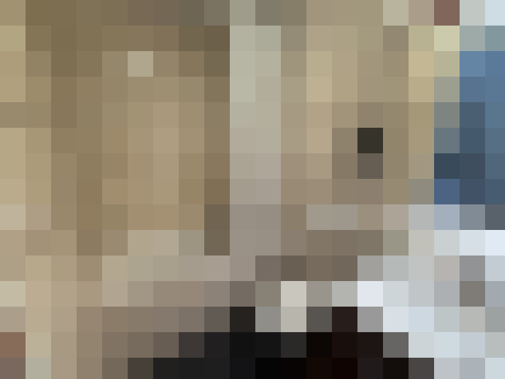  / #20