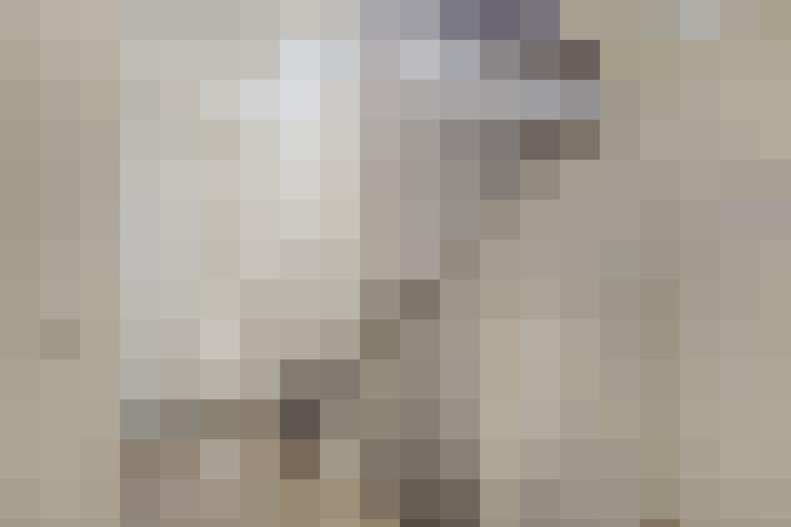  / #14