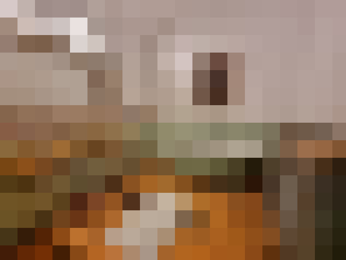  / #14