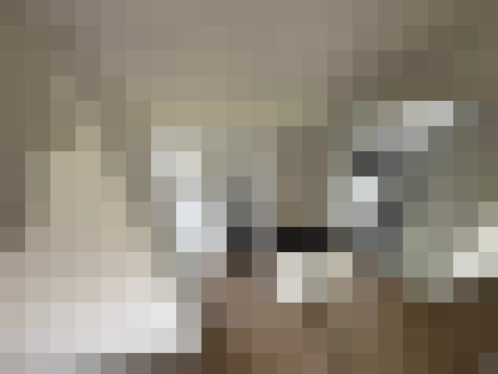  / #15