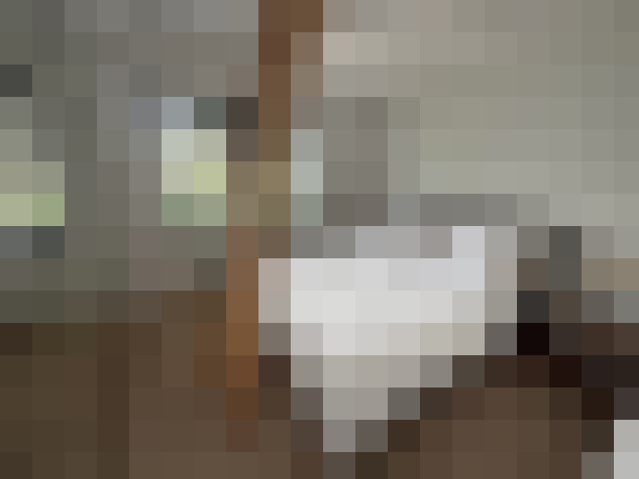  / #12