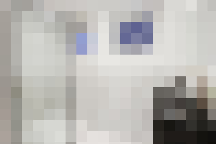  / #22