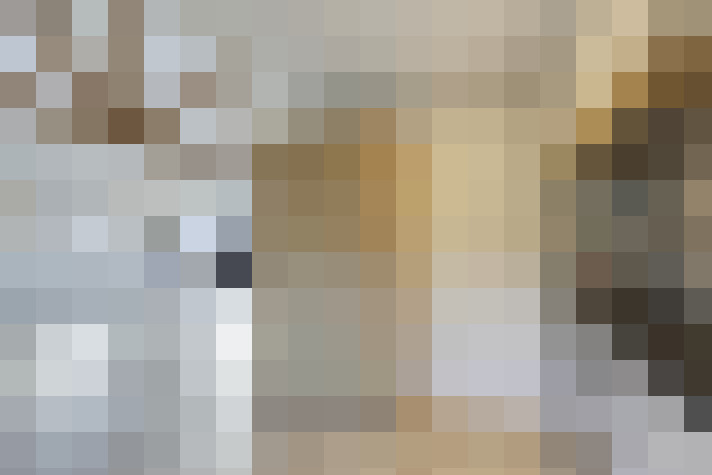  / #15
