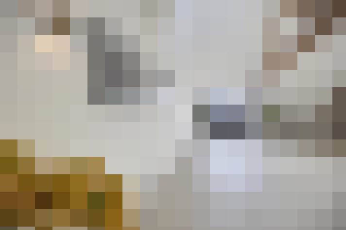  / #12