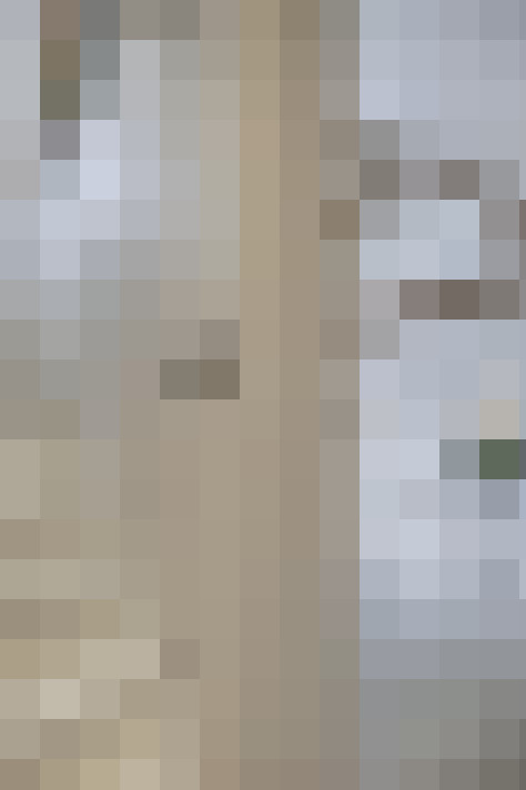  / #16