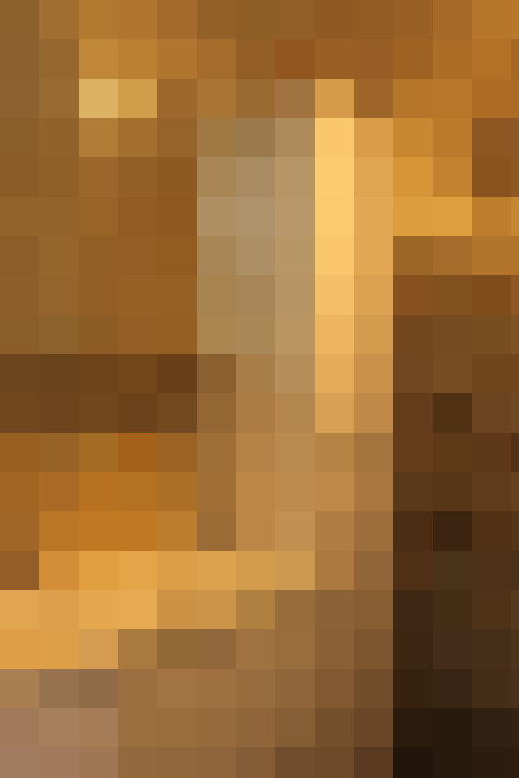  / #17