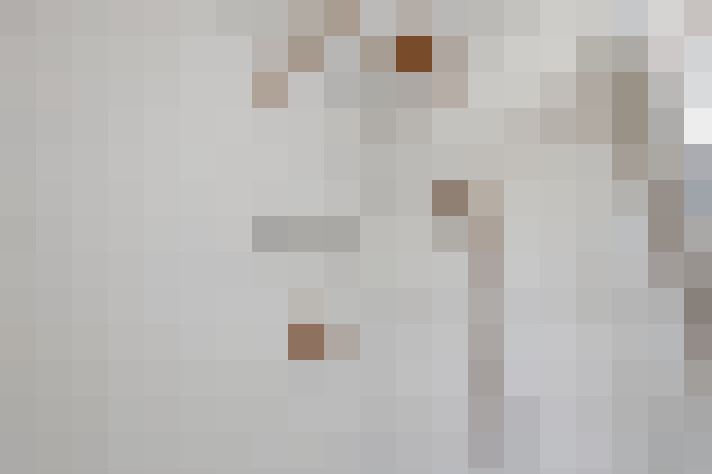  / #28